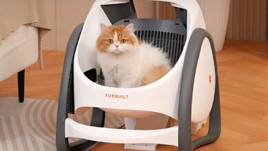 Une litière pour chat automatisée.