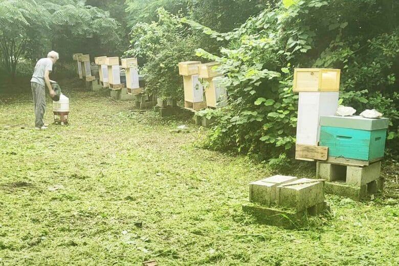 Le piège Hornet Trap'Er utilisé en Île-de-France.