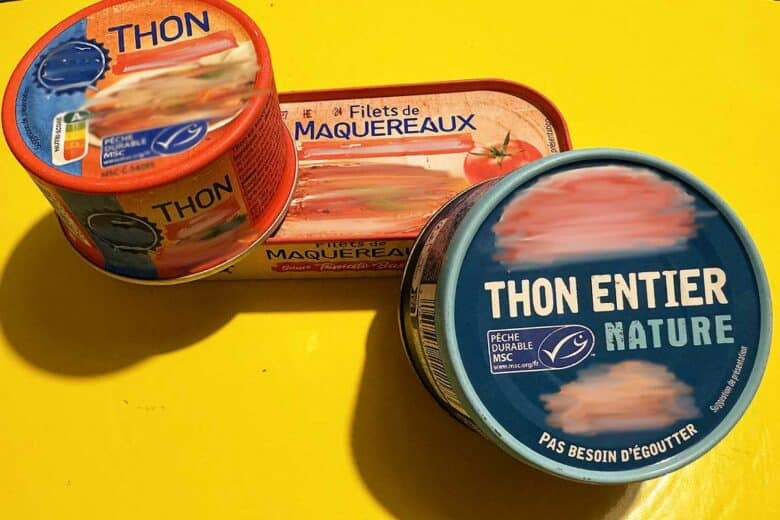 Des boites de conserve de poissons.