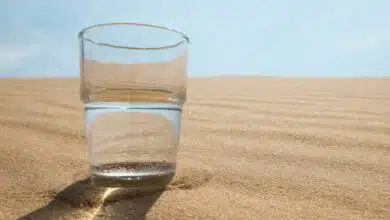 Un verre d'eau dans le désert.