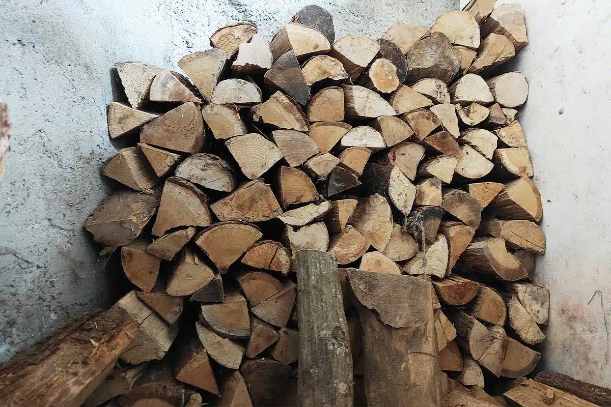 Un tas de bois sec pour le chauffage.