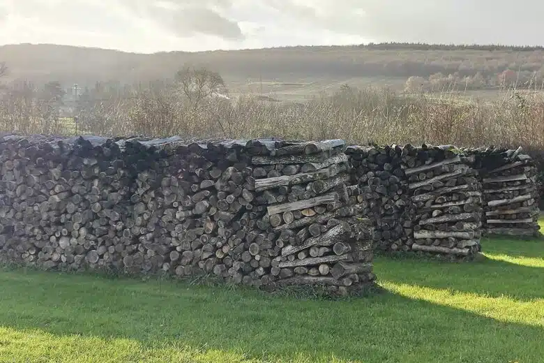 Un stock de bois bien rangé.