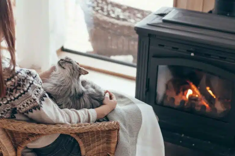 Un chat sur les genoux de sa maitresse près du poêle.