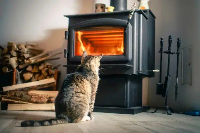 Un chat posé très près d'un poêle à bois.