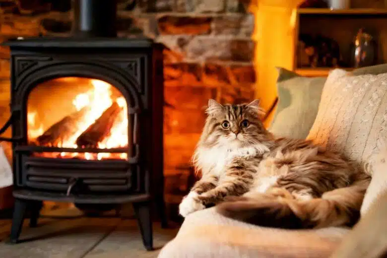 Un chat allongé sur le canapé près du poêle.