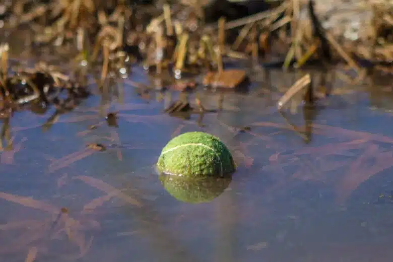 Une balle de tennis follet dans l'eau.