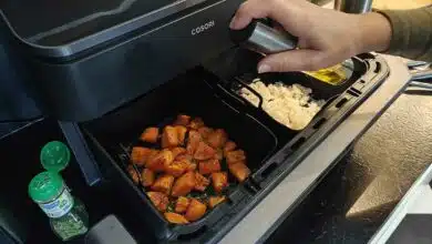 Application d'un spray d'huile lors de la préparation d'un repas au airfryer.