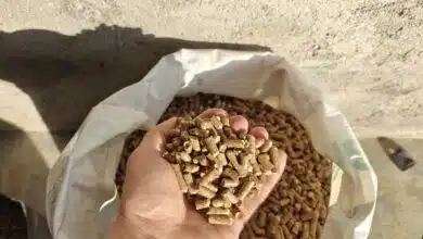 Des pellets de bois tenus en main.