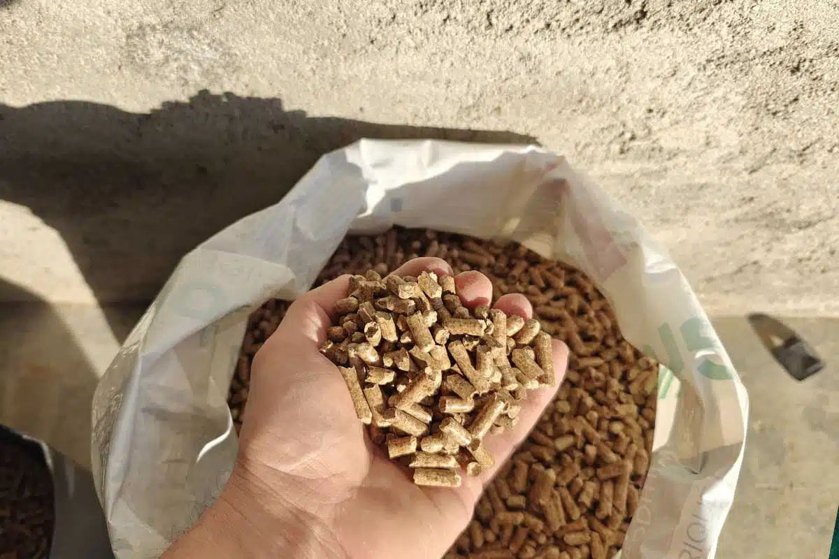 Des pellets de bois tenus en main.