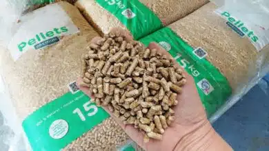 Une main tenant des pellets au-dessus d'une palette de granulés.