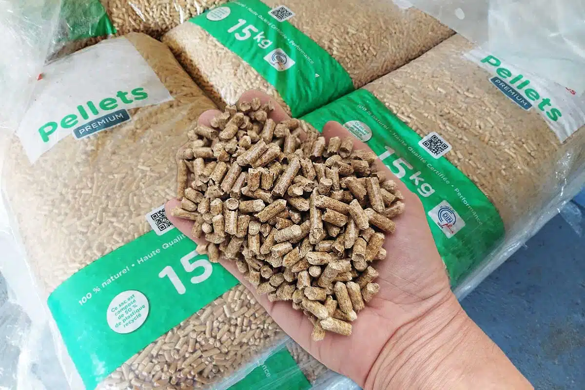 Une main tenant des pellets au-dessus d'une palette de granulés.