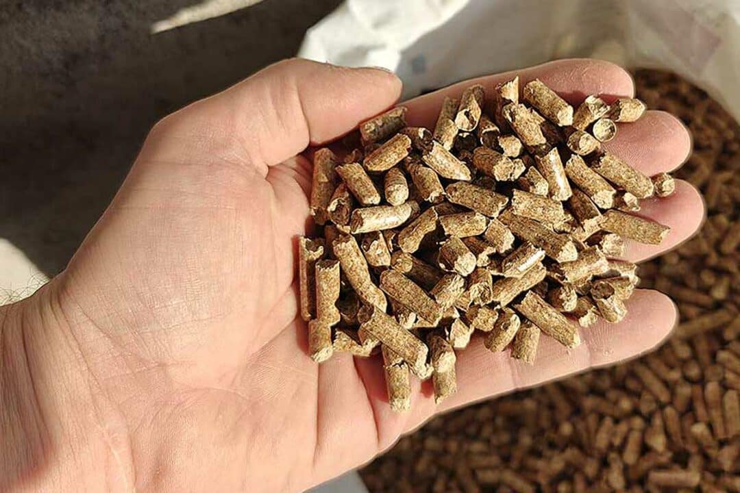 Une main tenant des pellets de bois.