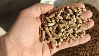 Une main tenant des pellets de bois.