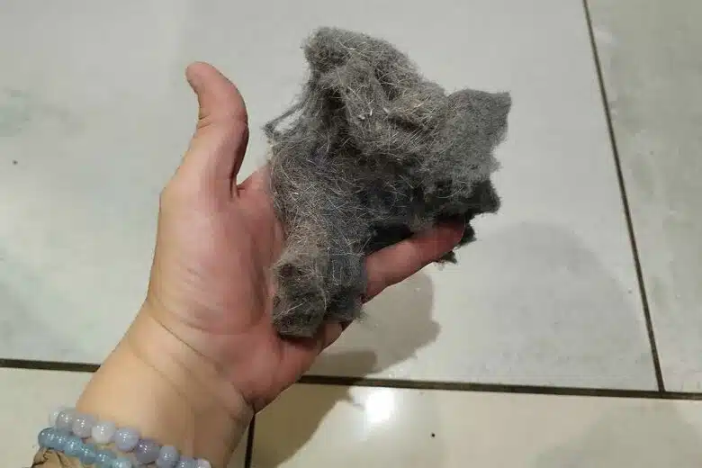 Amas de peluche provenant du sèche-linge.