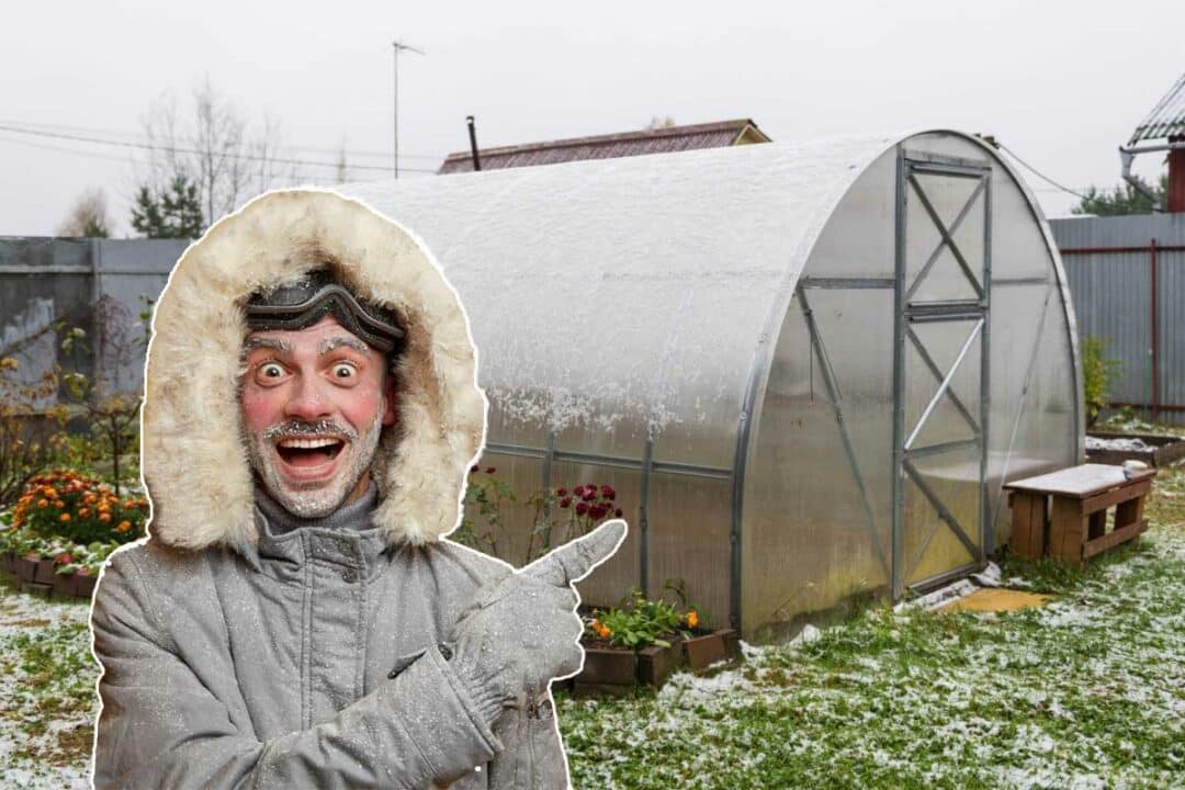 Une serre de jardin en hiver.