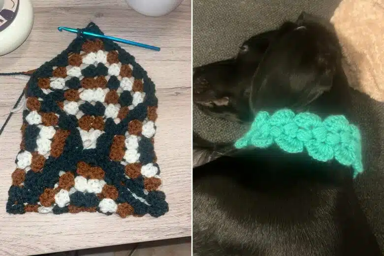 Une pochette et un collier pour le chien en crochet.