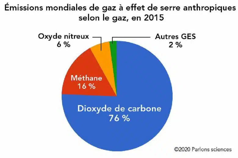 L’élevage est une source de méthane, un puissant gaz à effet de serre.