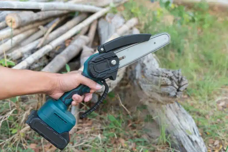 Un mini tronçonneuse à batterie.