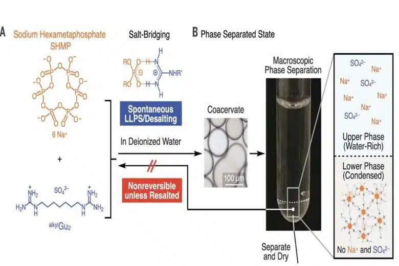 Processus physico-chimique de décomposition du plastique inventé par RIKEN.