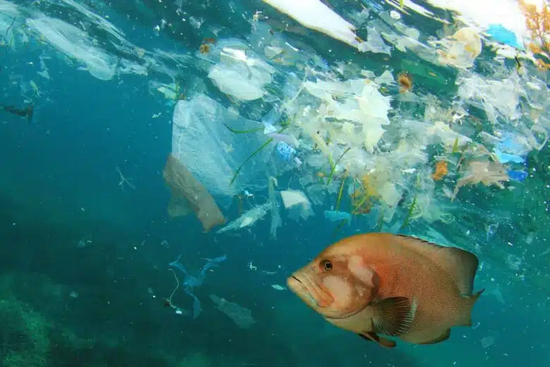 Pollution plastique en mer.