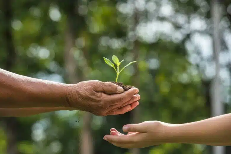 Un adulte transmet une jeune pousse à un enfant.