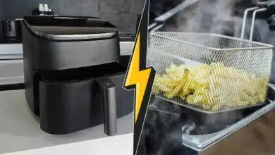 Le match airfryer vs friteuse.