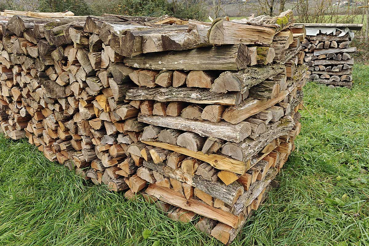 Un tas de bois de chauffage.