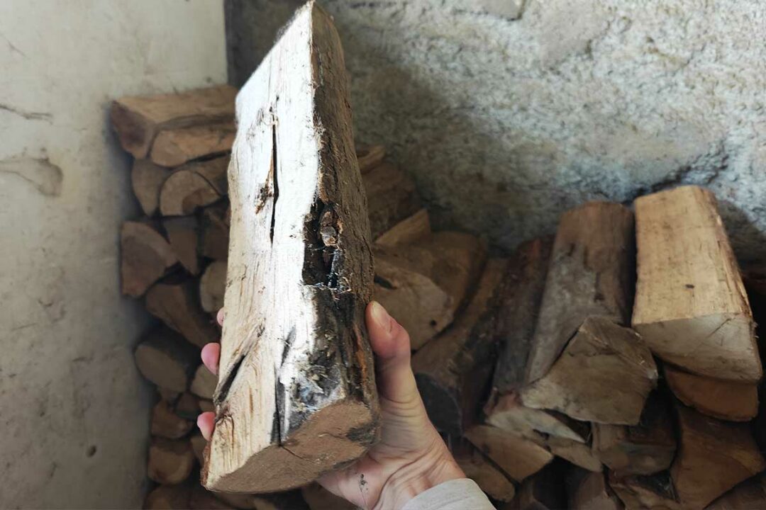 Un homme tient une buche de bois.