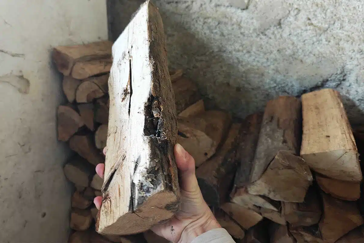 Un homme tient une buche de bois.