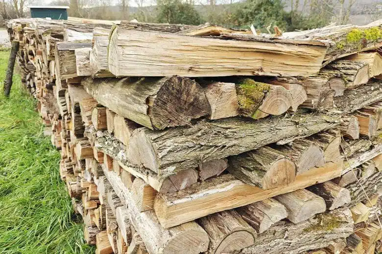 Un tas de bois stocké.