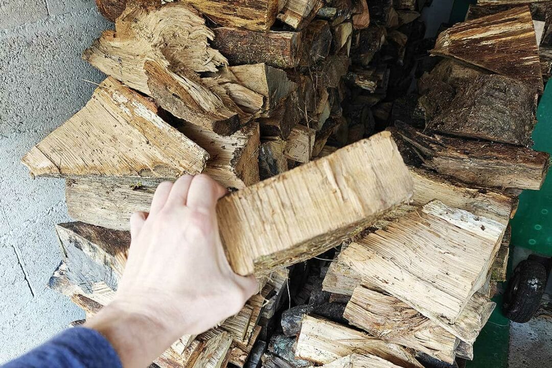 Une personne tient une buche dans la main.