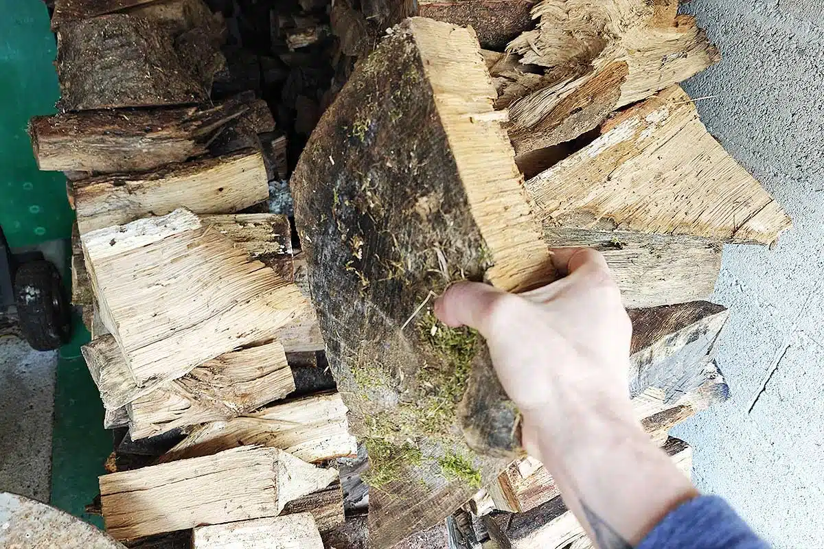 Un homme tient une buche dans sa main.