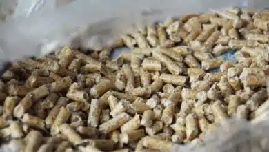 Des pellets de bois pour le chauffage.