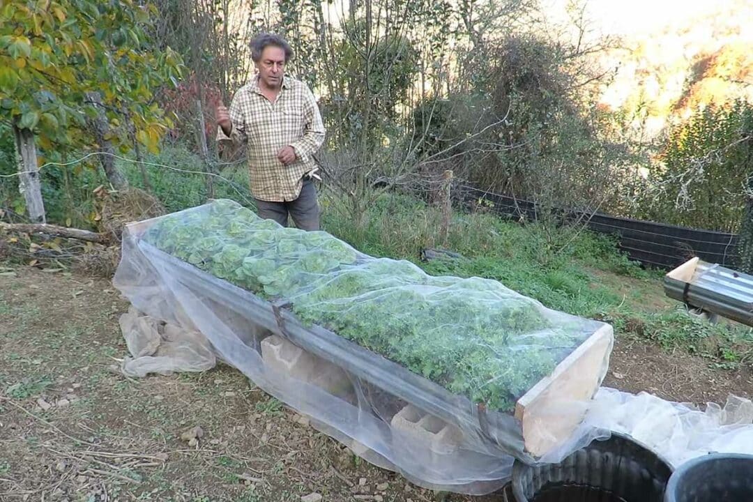 Une jardinière surélevée pour faire ses plantations.