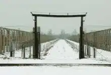 Un portail bardé de barbelés du camp d'Auschwitz.