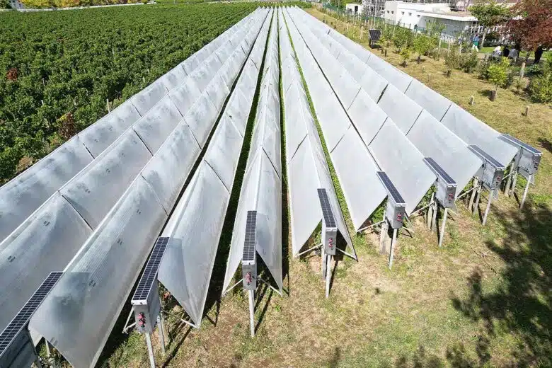 Des bâches de protection pour les vignes qui se déploient rapidement.