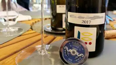 Une capsule Beaucarnea sur la table devant une bouteille de vin.