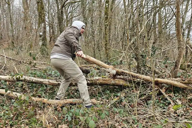 Un homme récupère du bois en forêt grâce au droit d'affouage.