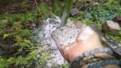 Une main dépose de la cendre dans le jardin.