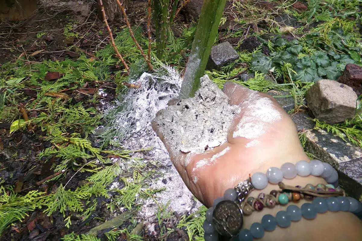 Une main dépose de la cendre dans le jardin.