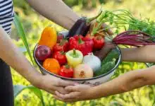 Un panier de légumes tenu par un adulte et un enfant.