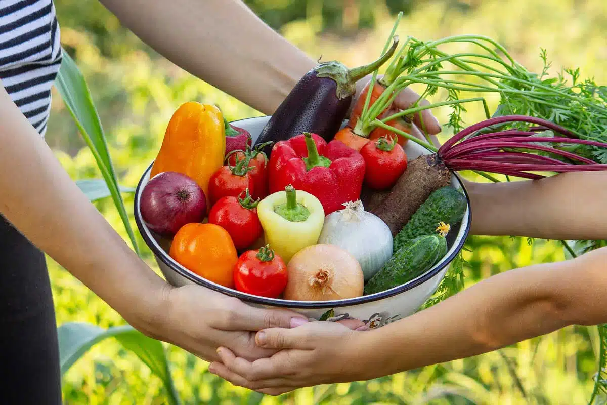 Un panier de légumes tenu par un adulte et un enfant.