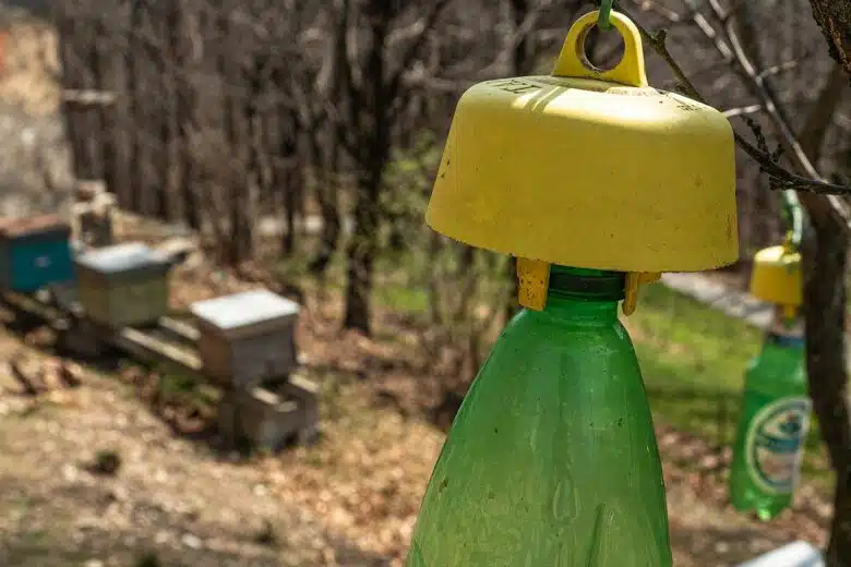 Un piège installé à proximité des ruches.