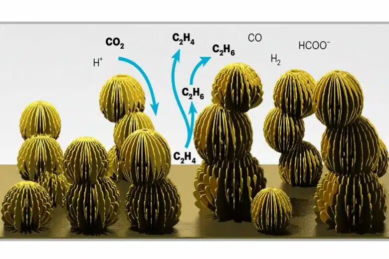 Représentation des électrodes nanoporeuses.