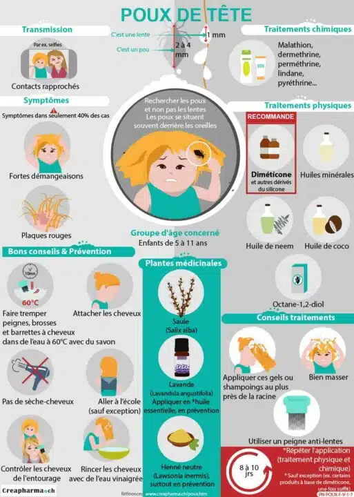 Infographie sur les poux de Creapharma.ch