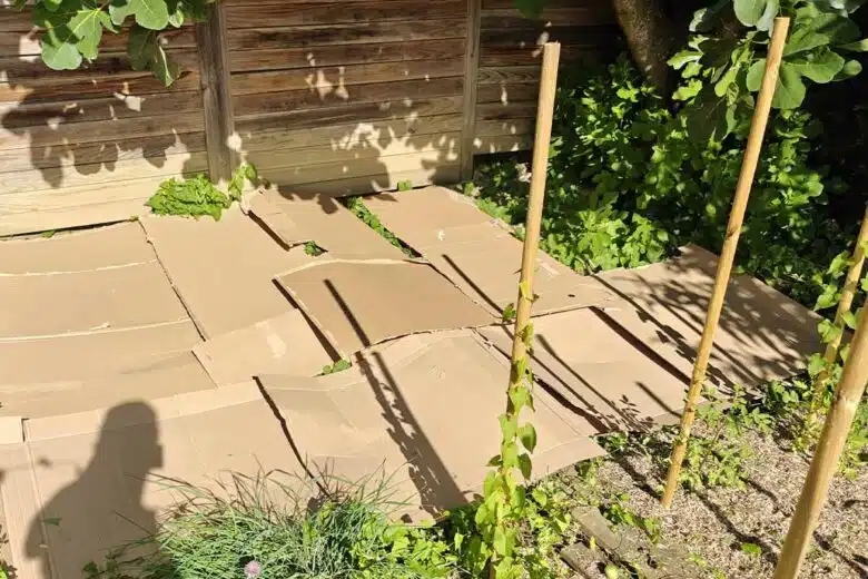 Préparation d'un potager avec des cartons au sol.