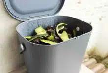 Un bac à compost domestique.