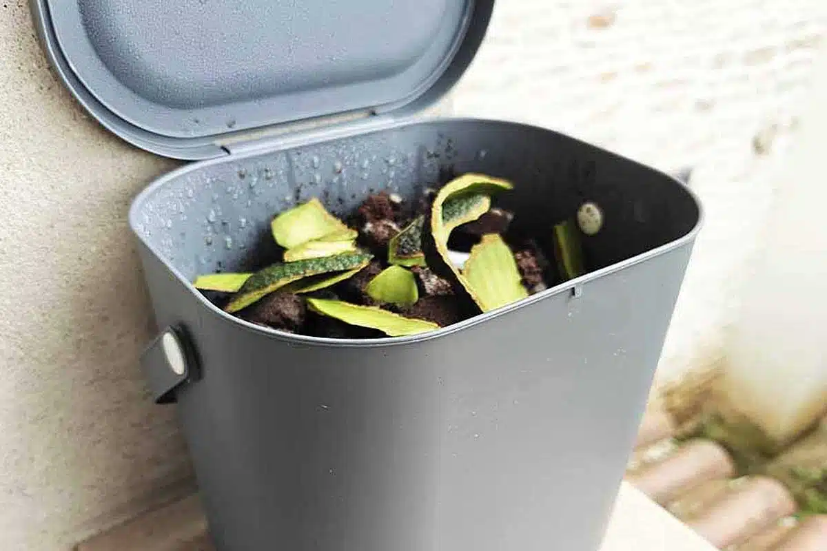 Un bac à compost domestique.