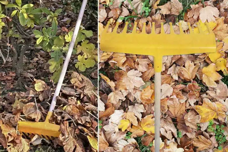 Ramasser des feuilles avec un râteau.