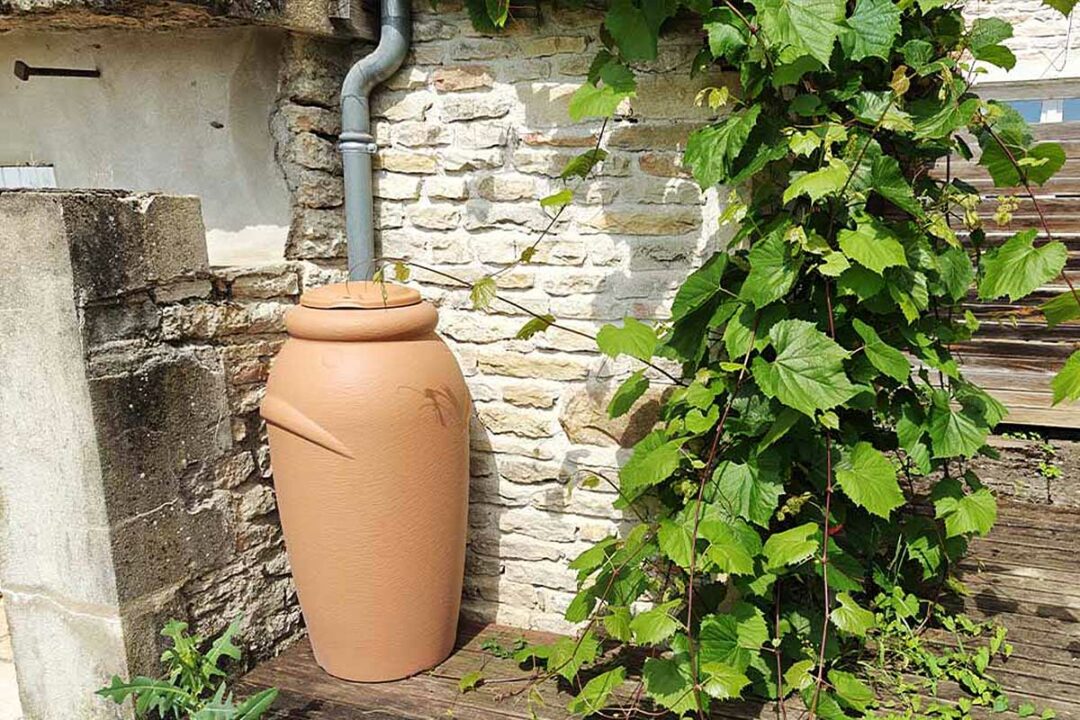 Un récupérateur d'eau raccordé à une gouttière.